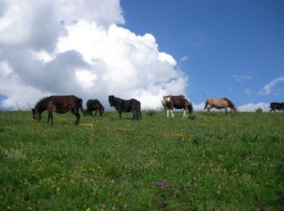  La felicidad está en el padre 